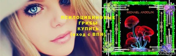 бошки Ладушкин