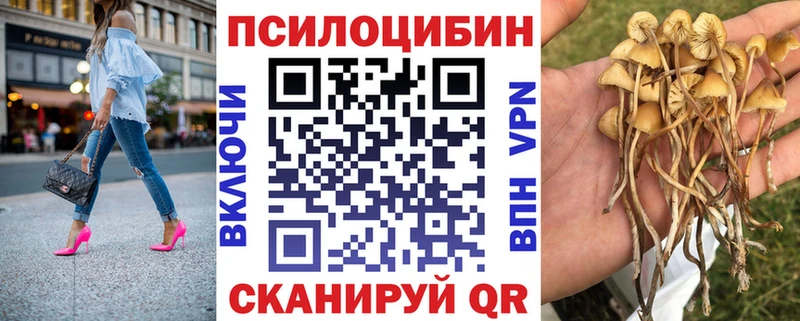 Купить закладки  Зеленогорск  Галлюциногенные грибы мицелий 